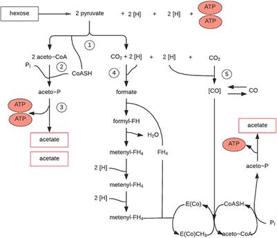 Biological treatment of biowaste as an innovative source of CO—The role of composting process